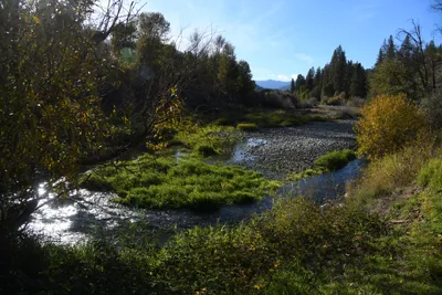 DSC_6545 (Large).JPG